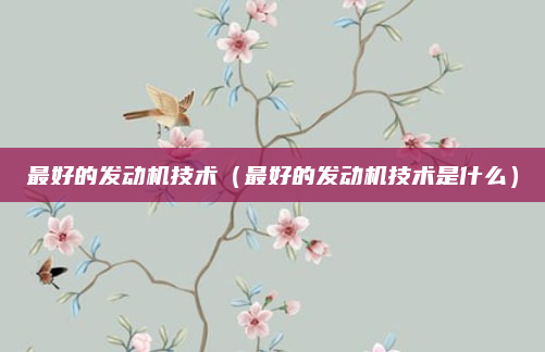 最好的发动机技术(最好的发动机技术是什么)