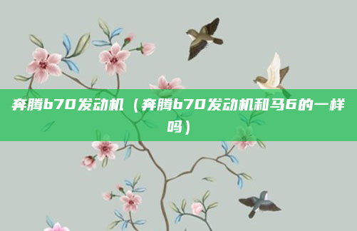 奔腾b70发动机（奔腾b70发动机和马6的一样吗）