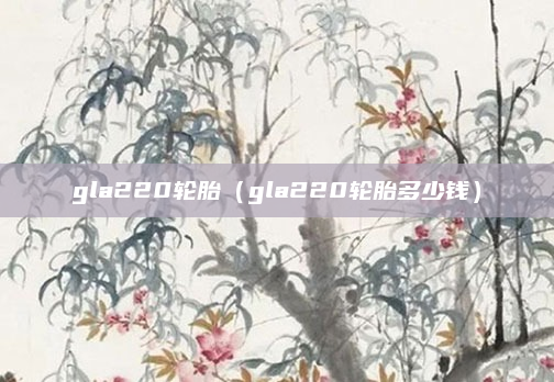 gla220轮胎(gla220轮胎多少钱)