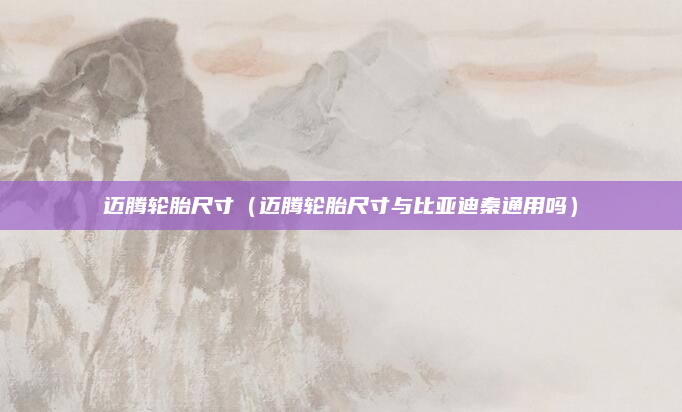 迈腾轮胎尺寸（迈腾轮胎尺寸与比亚迪秦通用吗）