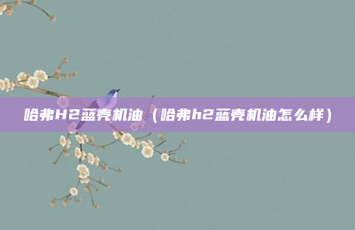 哈弗H2蓝壳机油（哈弗h2蓝壳机油怎么样）