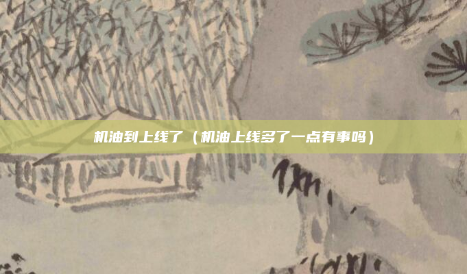 机油到上线了（机油上线多了一点有事吗）