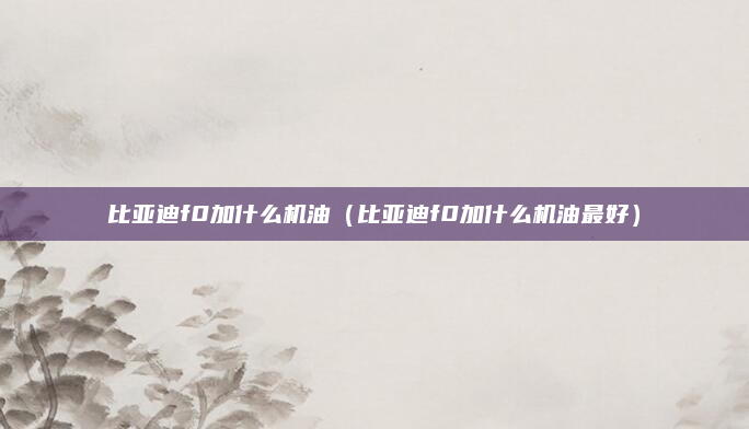 比亚迪f0加什么机油(比亚迪f0加什么机油最好)