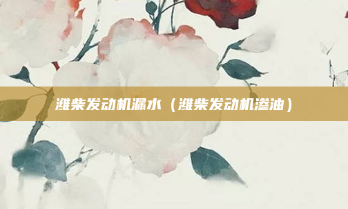潍柴发动机漏水（潍柴发动机渗油）