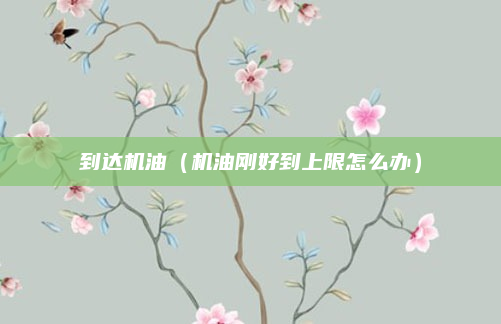 到达机油(机油刚好到上限怎么办)
