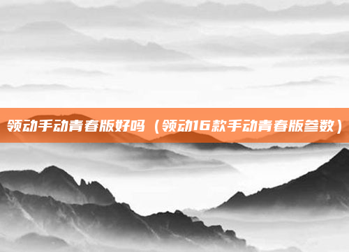 领动手动青春版好吗(领动16款手动青春版参数)