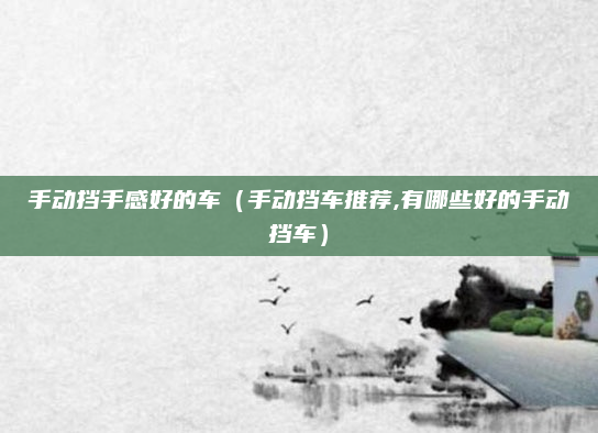 手动挡手感好的车（手动挡车推荐,有哪些好的手动挡车）