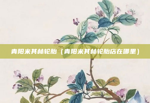 青阳米其林轮胎（青阳米其林轮胎店在哪里）