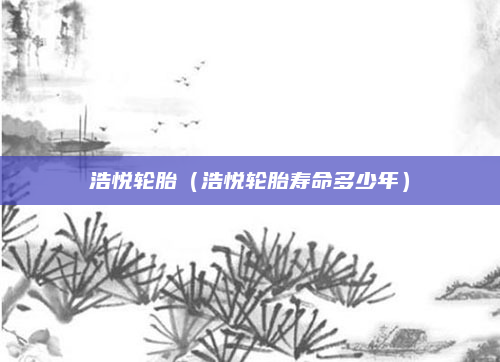 浩悦轮胎（浩悦轮胎寿命多少年）
