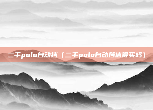 二手polo自动挡(二手polo自动挡值得买吗)