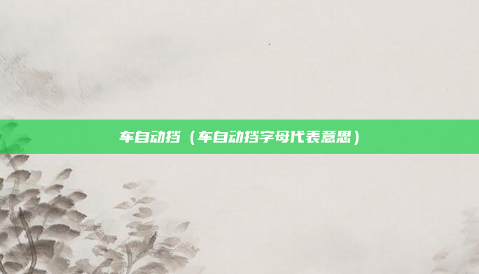 车自动挡（车自动挡字母代表意思）