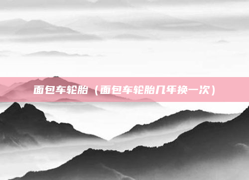面包车轮胎(面包车轮胎几年换一次)