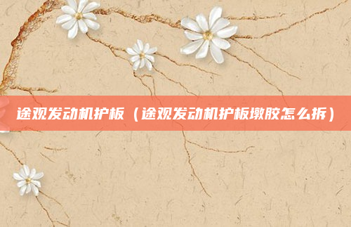 途观发动机护板(途观发动机护板墩胶怎么拆)