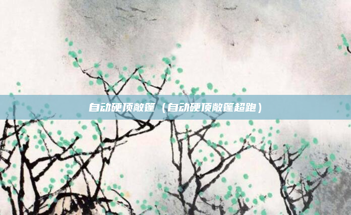 自动硬顶敞篷(自动硬顶敞篷超跑)