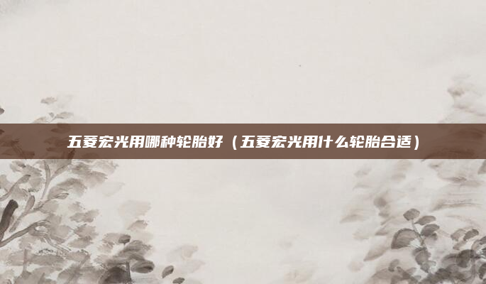 五菱宏光用哪种轮胎好(五菱宏光用什么轮胎合适)