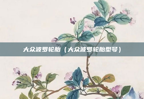 大众波罗轮胎(大众波罗轮胎型号)