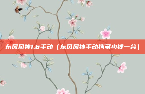 东风风神1.6手动（东风风神手动挡多少钱一台）