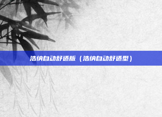 浩纳自动舒适版(浩纳自动舒适型)