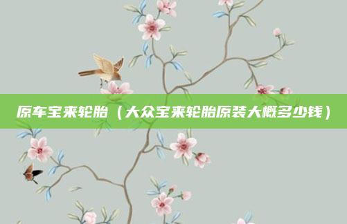 原车宝来轮胎（大众宝来轮胎原装大概多少钱）