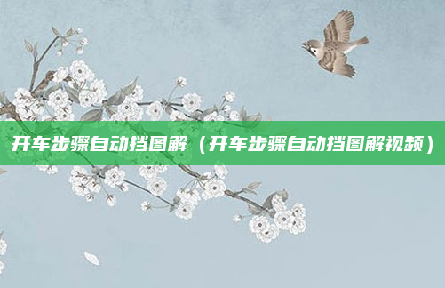 开车步骤自动挡图解(开车步骤自动挡图解视频)