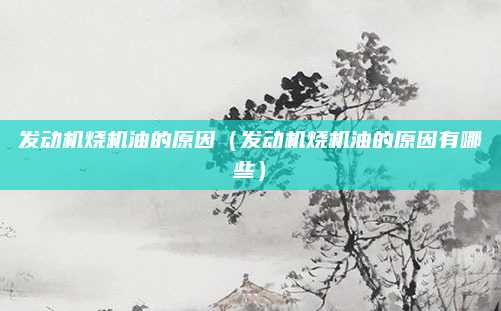 发动机烧机油的原因(发动机烧机油的原因有哪些)
