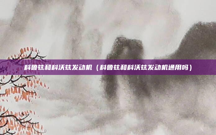 科鲁兹和科沃兹发动机(科鲁兹和科沃兹发动机通用吗)