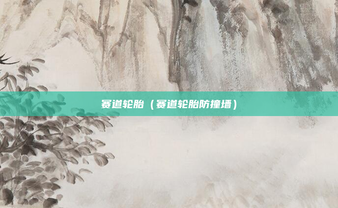 赛道轮胎（赛道轮胎防撞墙）