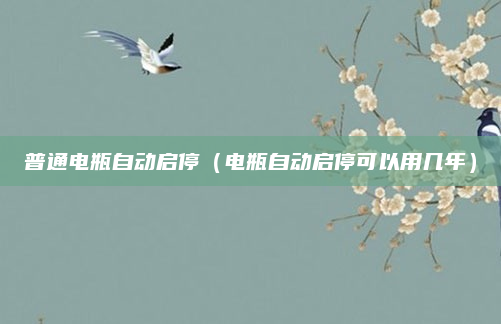 普通电瓶自动启停（电瓶自动启停可以用几年）