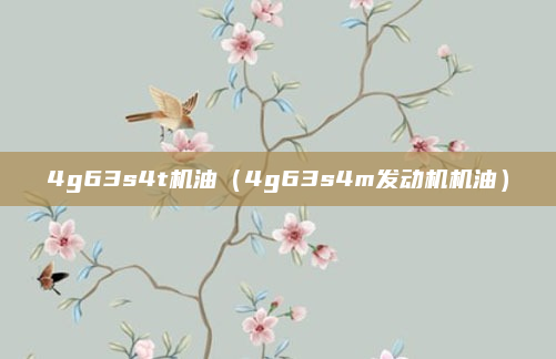 4g63s4t机油(4g63s4m发动机机油)