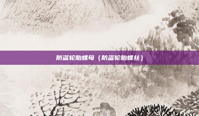 防盗轮胎螺母(防盗轮胎螺丝)