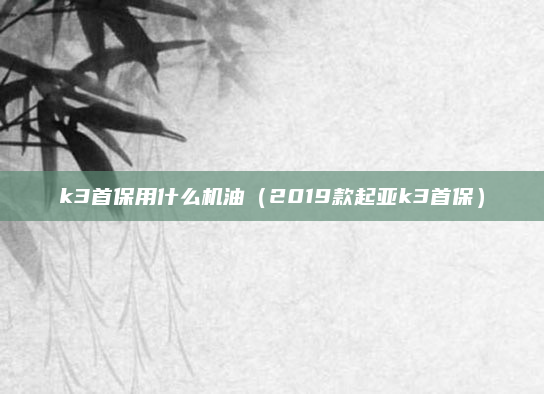 k3首保用什么机油(2019款起亚k3首保)