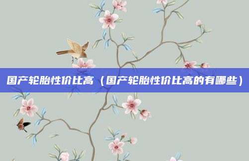 国产轮胎性价比高(国产轮胎性价比高的有哪些)