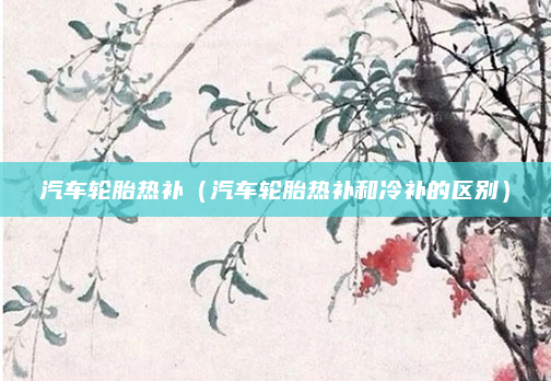 汽车轮胎热补(汽车轮胎热补和冷补的区别)