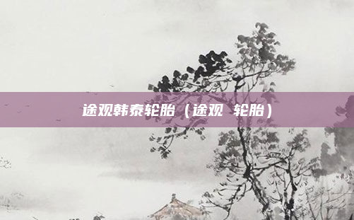 途观韩泰轮胎（途观 轮胎）