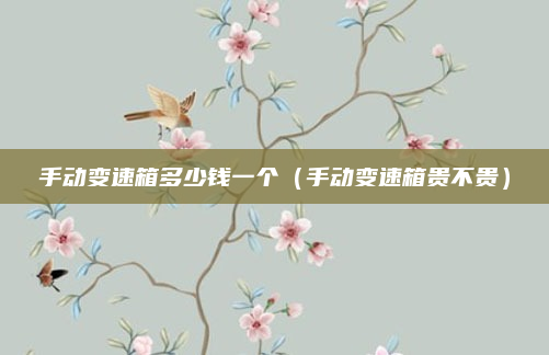 手动变速箱多少钱一个(手动变速箱贵不贵)