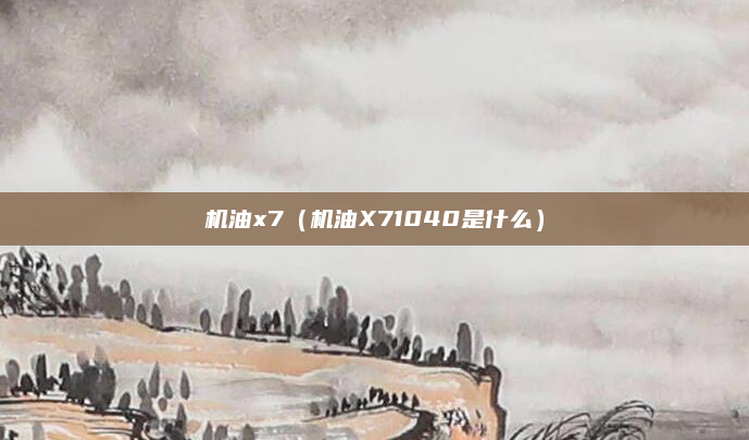 机油x7(机油X71040是什么)