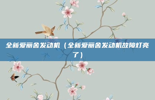 全新爱丽舍发动机(全新爱丽舍发动机故障灯亮了)