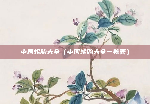 中国轮胎大全（中国轮胎大全一览表）