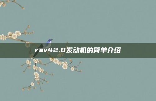 rav42.0发动机的简单介绍