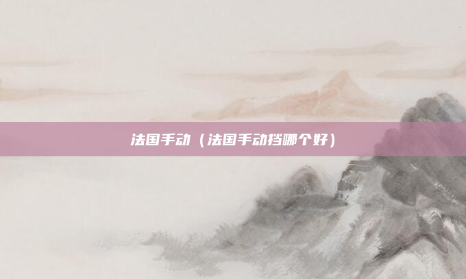 法国手动（法国手动挡哪个好）