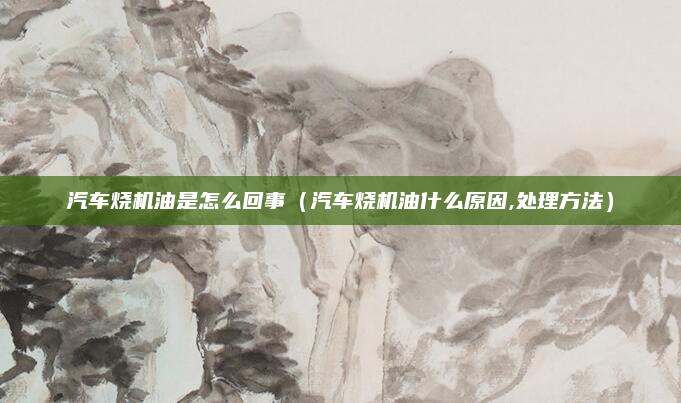 汽车烧机油是怎么回事(汽车烧机油什么原因,处理方法)