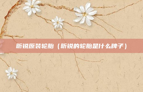 昕锐原装轮胎(昕锐的轮胎是什么牌子)