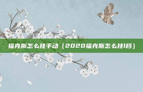 福克斯怎么挂手动(2020福克斯怎么挂l档)