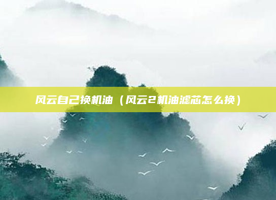 风云自己换机油(风云2机油滤芯怎么换)
