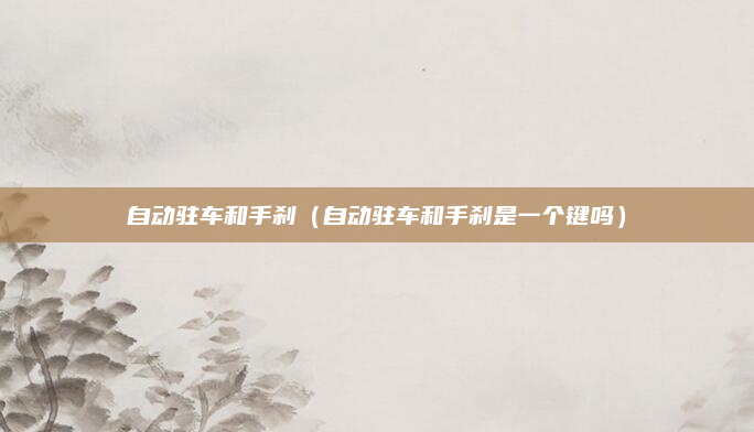 自动驻车和手刹(自动驻车和手刹是一个键吗)