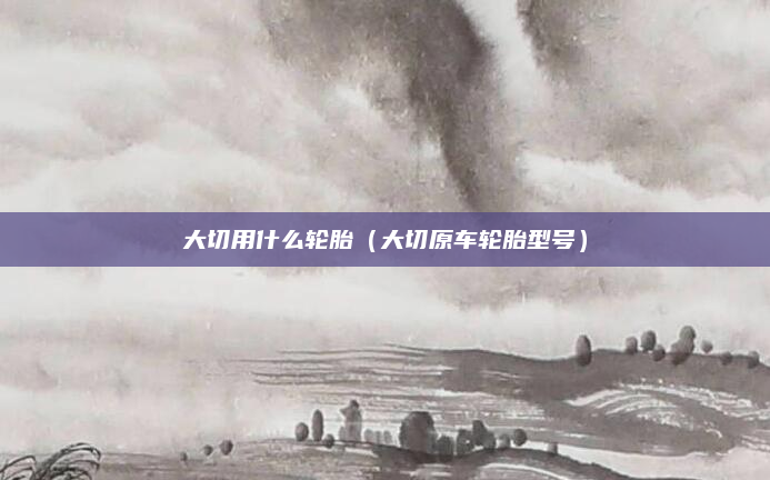 大切用什么轮胎（大切原车轮胎型号）