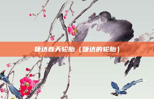捷达春天轮胎(捷达的轮胎)