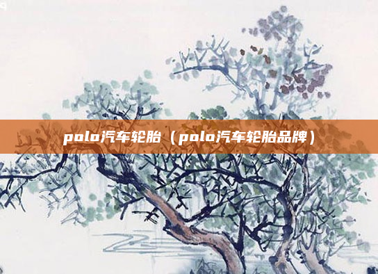 polo汽车轮胎(polo汽车轮胎品牌)