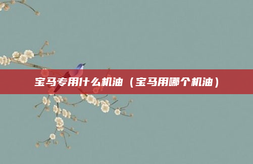宝马专用什么机油(宝马用哪个机油)