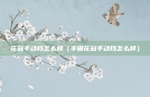 花冠手动档怎么样（丰田花冠手动挡怎么样）